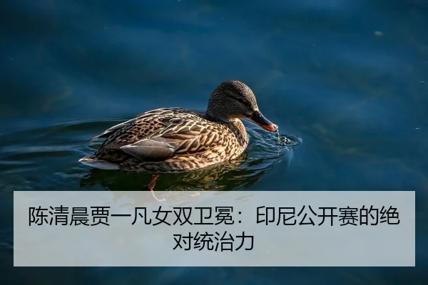 chen-qing-chen-jia-yi-fan-nv-shuang-wei-mian-yin-ni-gong-kai-sai-de-jue-dui-tong-zhi-li-2-243.jpg