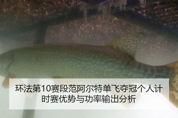 huan-fa-di-sai-duan-fan-a-er-te-dan-fei-duo-guan-ge-ren-ji-shi-sai-you-shi-yu-gong-lv-shu-chu-fen-xi-2-462.jpg