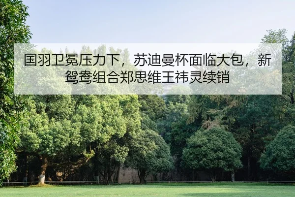 guo-yu-wei-mian-ya-li-xia-su-di-man-bei-mian-lin-da-bao-xin-yuan-yang-zu-he-zheng-si-wei-wang-yi-ling-xu-xiao-2-425.jpg